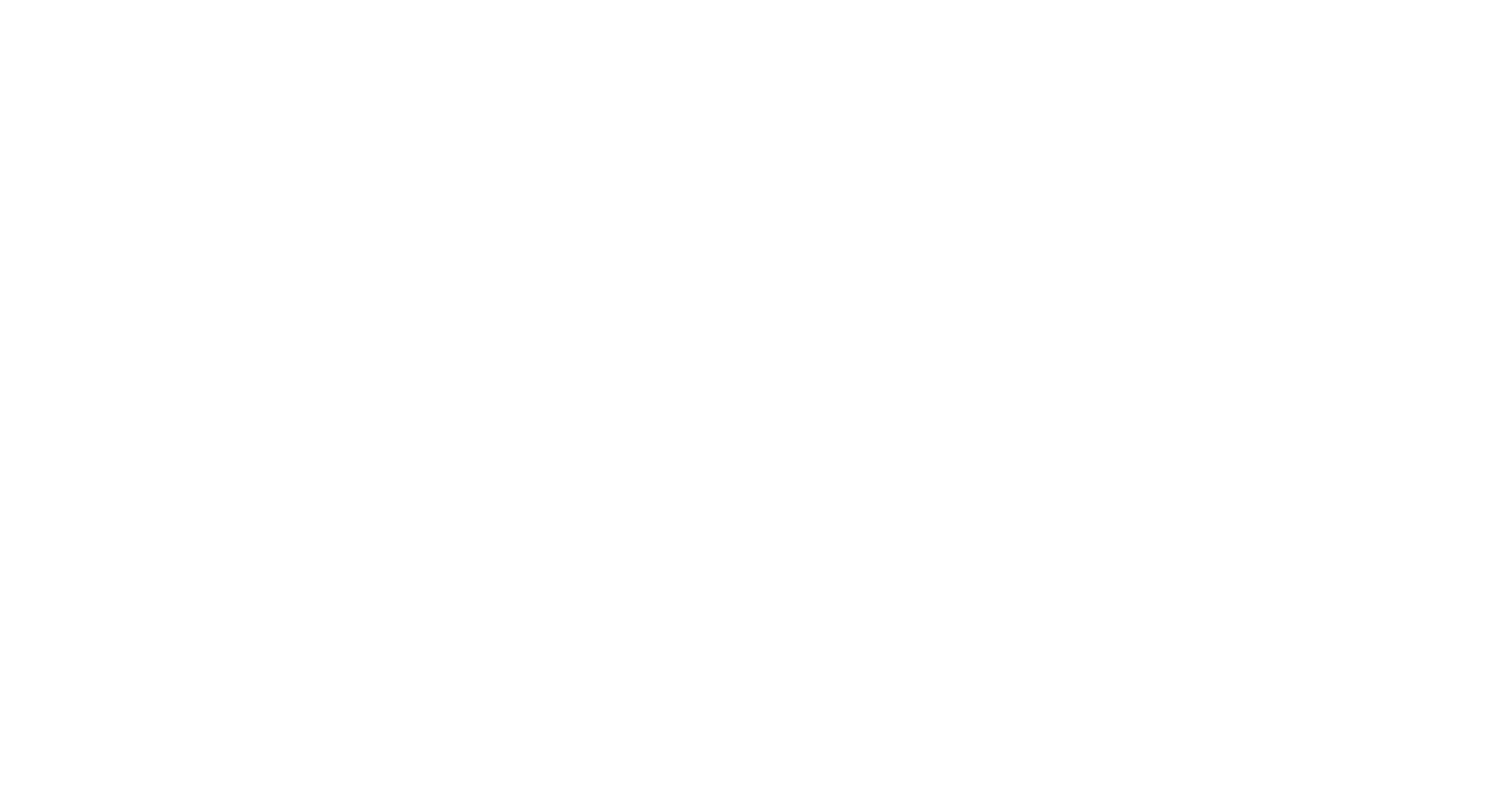 Domino Logo